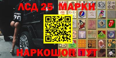 индика Лесосибирск