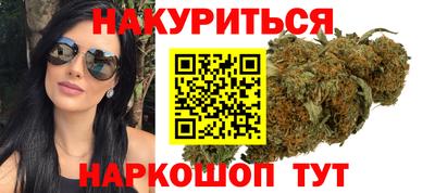 индика Лесосибирск