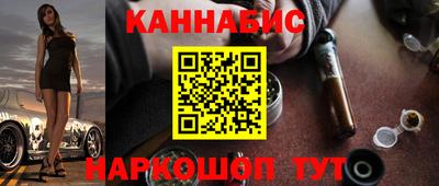 индика Лесосибирск