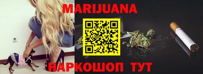 индика Лесосибирск