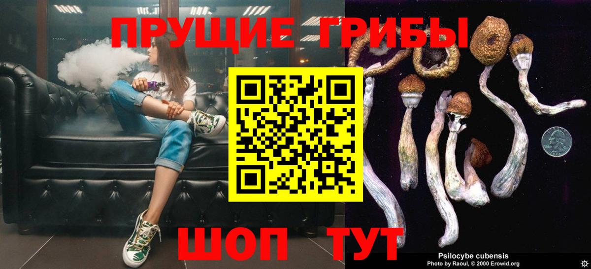 Псилоцибиновые грибы Magic Shrooms Алапаевск